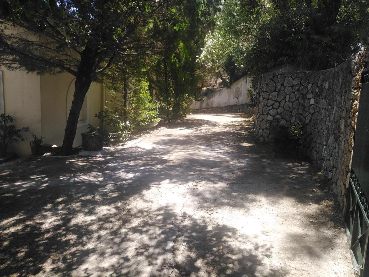 Olea Home Agia Pelagia Chlomou المظهر الخارجي الصورة
